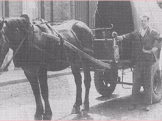 Gustave bogaert met paard en kar